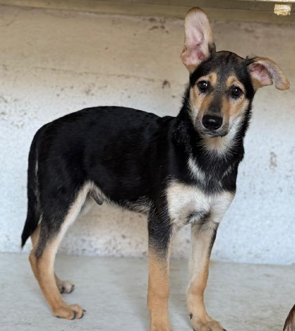 Alex, Paolo & Trilly Foto 7